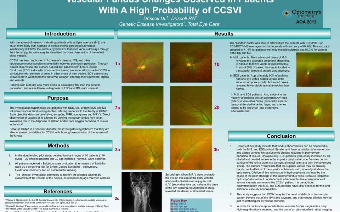Vascular fundus changes in patients with high probability of chronic cerebrospinal venous insufficiency