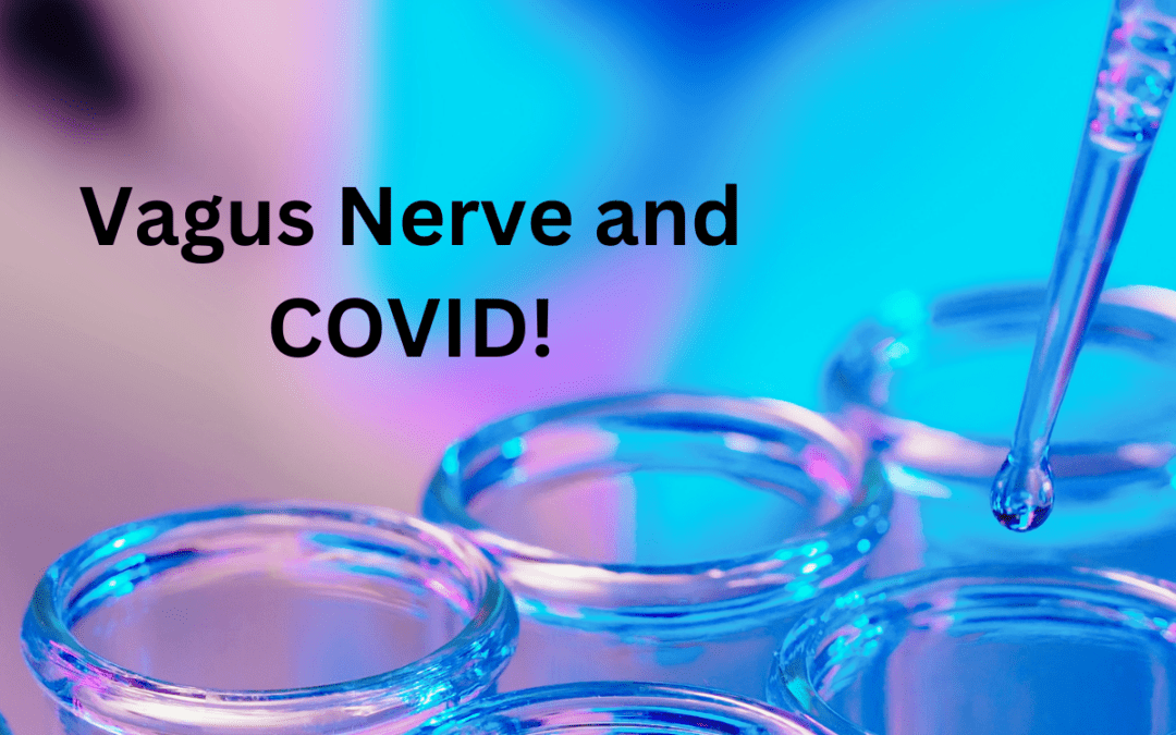 vagus nerve and covid